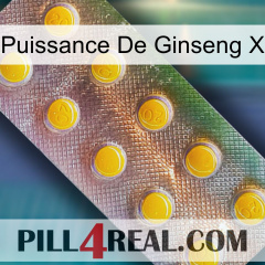 Ginseng Power X new11